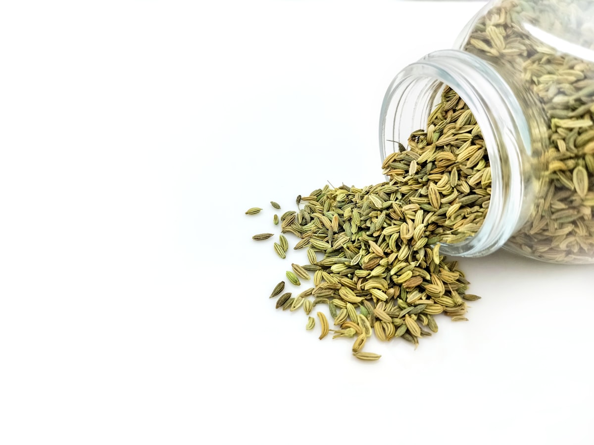 Fennel Seeds