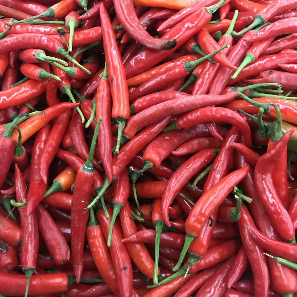 Red Chilli (Whole & Powder)